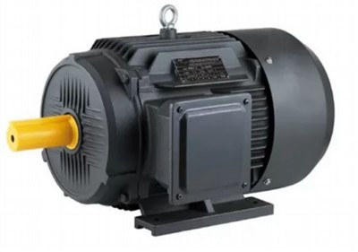 Single Phase Permanent Magnet Synchronous Motor